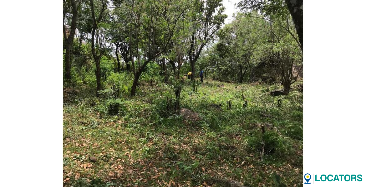 Land in Bambarakanda