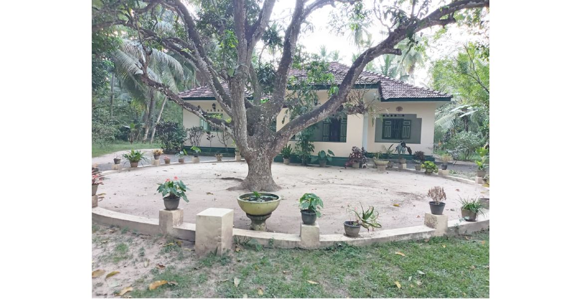 House for Rent in Minuwangoda