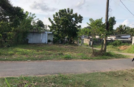 Land for Sale &#8211; Homagama, Panagoda