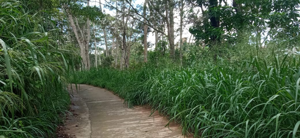 Land for Sale in Kandy &#8211; Richmond Hill, Hanthana