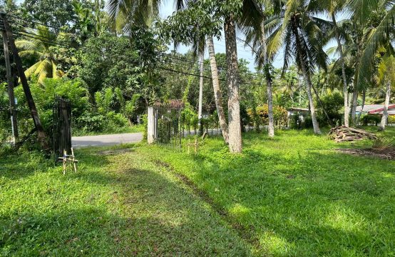 Land for Sale in Minuwangoda