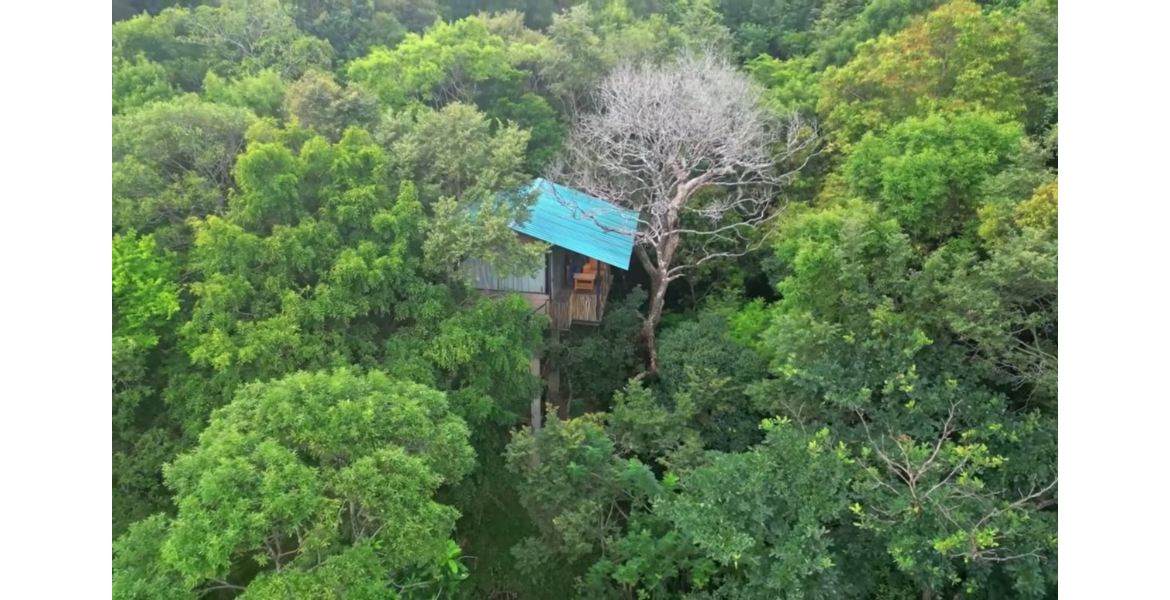 Hillside Retreat | Belihuloya, Balangoda